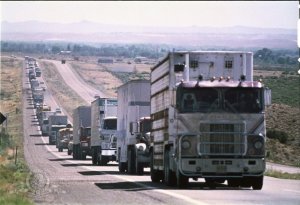 convoy